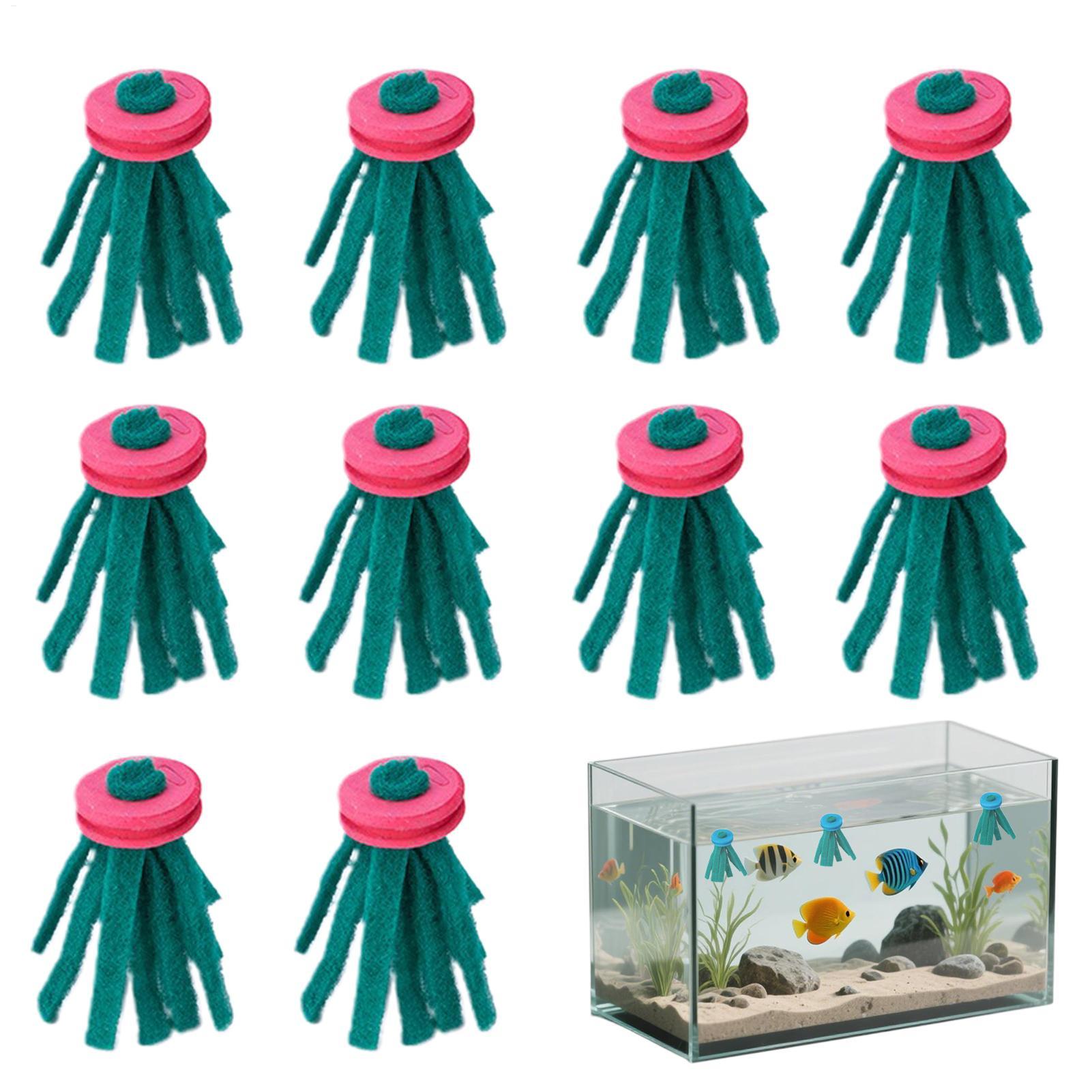 10 قطع من ممسحة تفريخ الأسماك  - مراجعة Betta Fish Tank وسعره