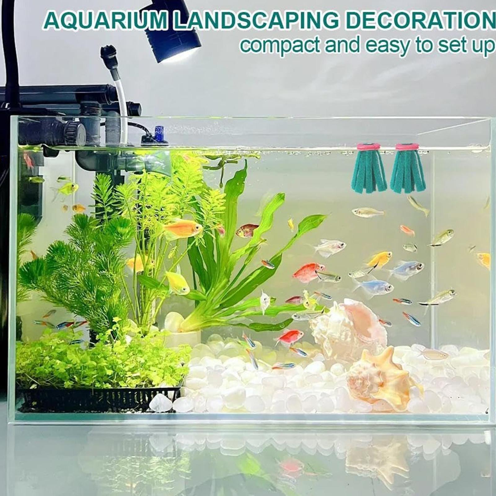 10 قطع من ممسحة تفريخ الأسماك  - مراجعة Betta Fish Tank وسعره