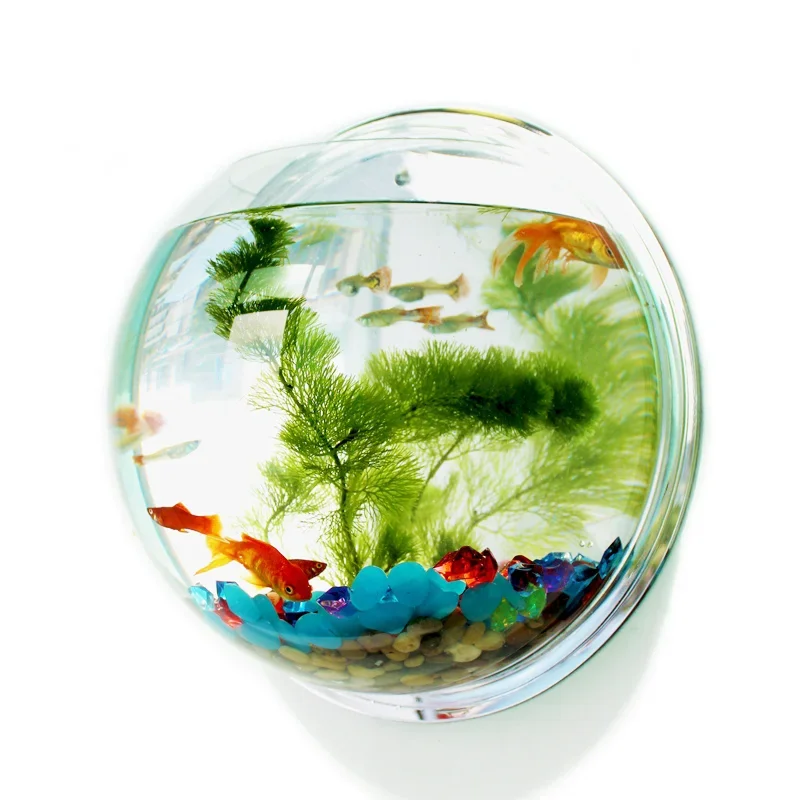 Pinsjar وعاء السمك الأكريليك ا - مراجعة Betta Fish Tank وسعره