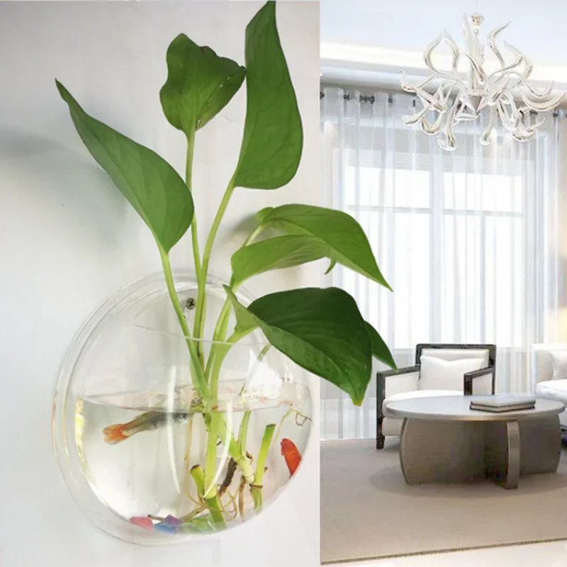 Pinsjar وعاء السمك الأكريليك ا - مراجعة Betta Fish Tank وسعره
