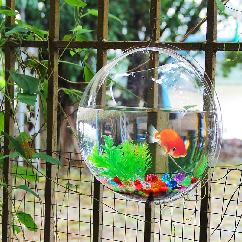 Pinsjar وعاء السمك الأكريليك ا - مراجعة Betta Fish Tank وسعره