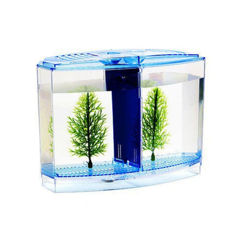 حوض أسماك بيتا شفاف ، حوض أسما - مراجعة Aquarium Fish Betta وسعره