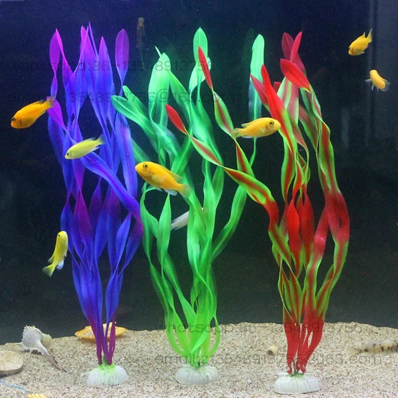 5/10 قطع من نباتات الأحواض الب - مراجعة Aquarium Decor وسعره