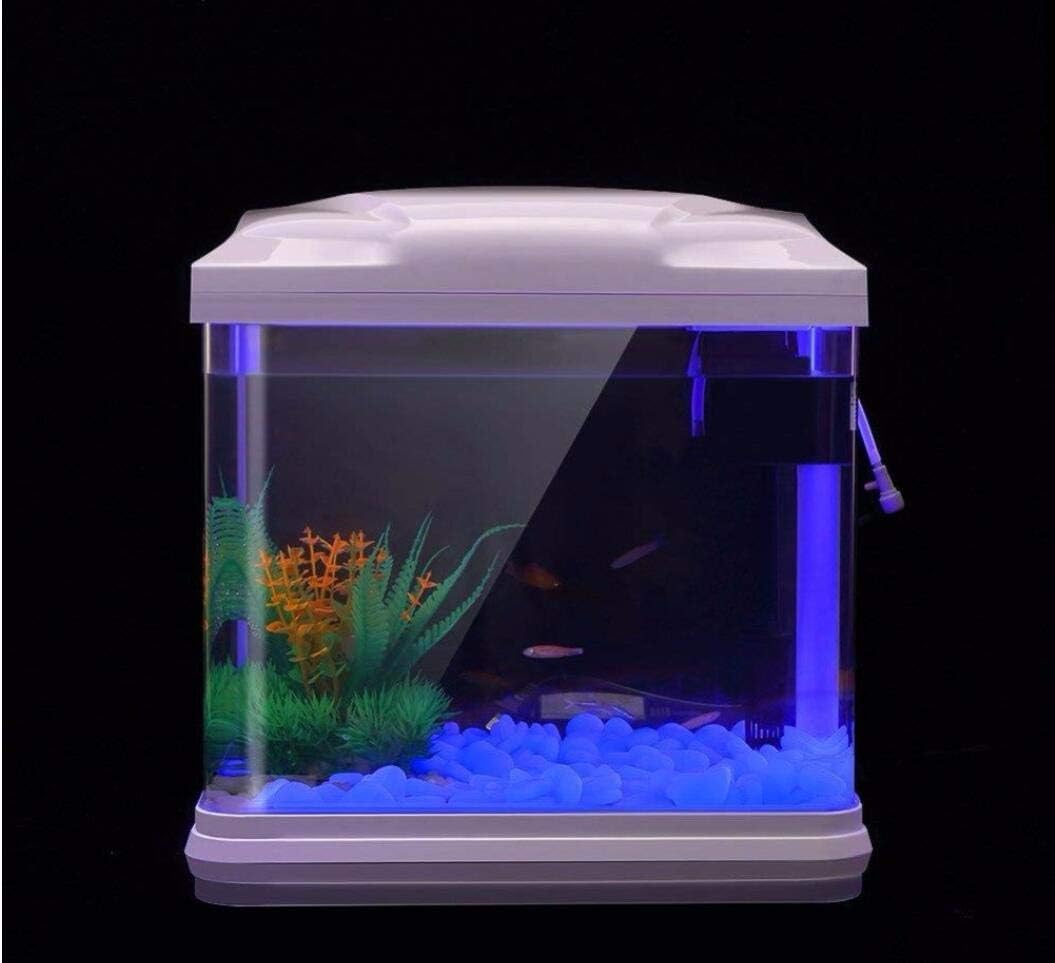 حوض السمك الصخور توهج الحصى ال - مراجعة Fish Tank Gravel وسعره