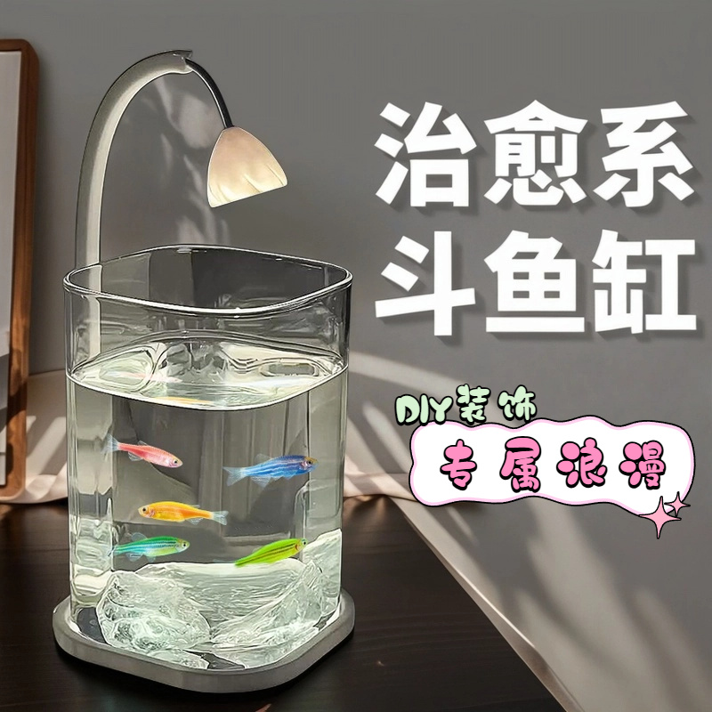 حوض سمك صغير بيتا للأسماك الزج - مراجعة Betta Fish Tank وسعره