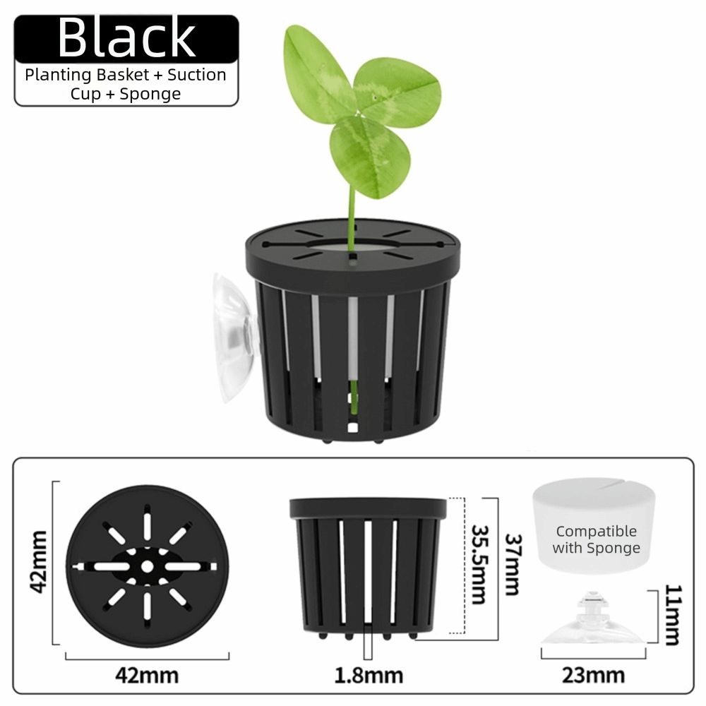 حامل نباتات مائية، حوض أسماك،  - مراجعة Aquarium Plants وسعره